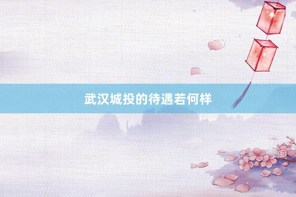 武汉城投的待遇若何样