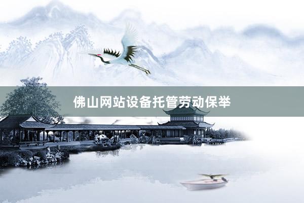 佛山网站设备托管劳动保举