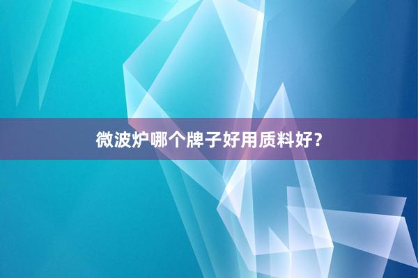 微波炉哪个牌子好用质料好？