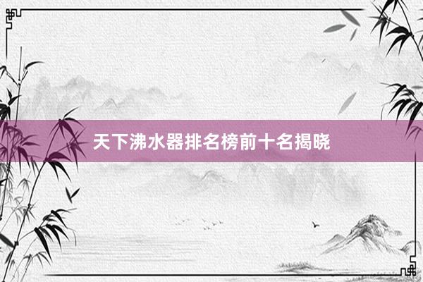 天下沸水器排名榜前十名揭晓